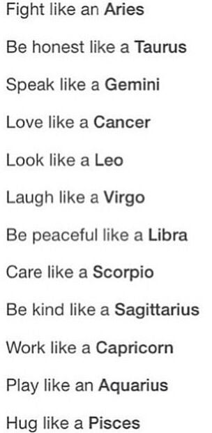 Fight zodiac a signs in The Absolute