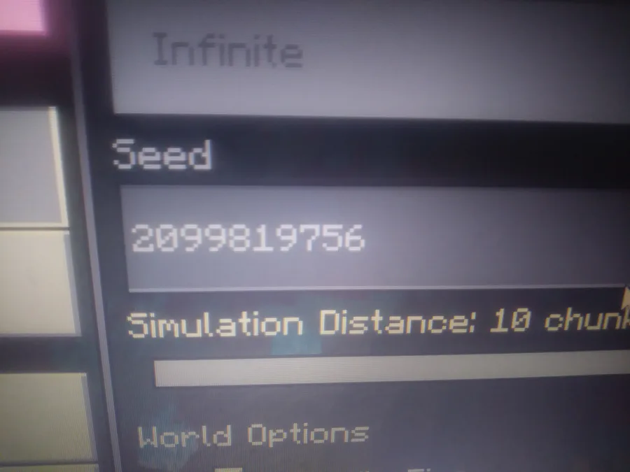 A good seed Seed Simulation Distance: 4 chunks World Options I