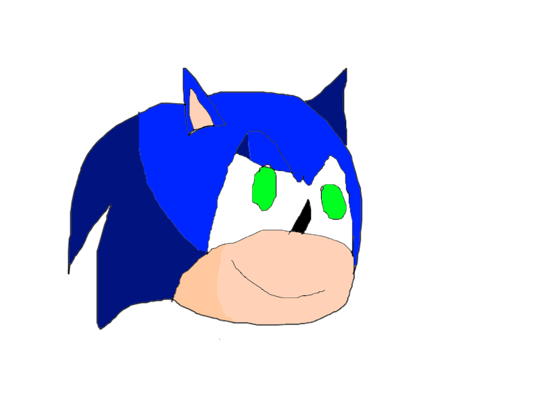 sonic the hedgehog headshot