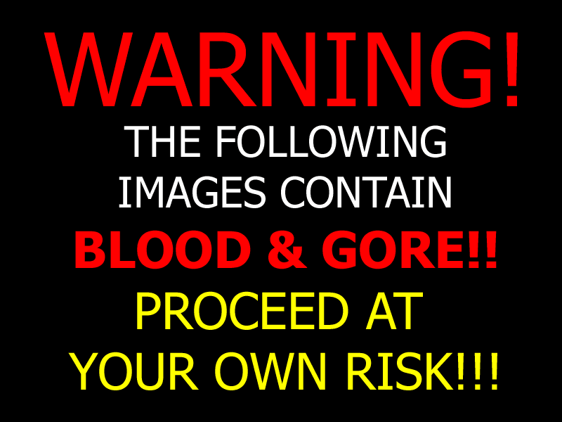 WeirdCore/ DreamCore Oc :D ( Blood warning )