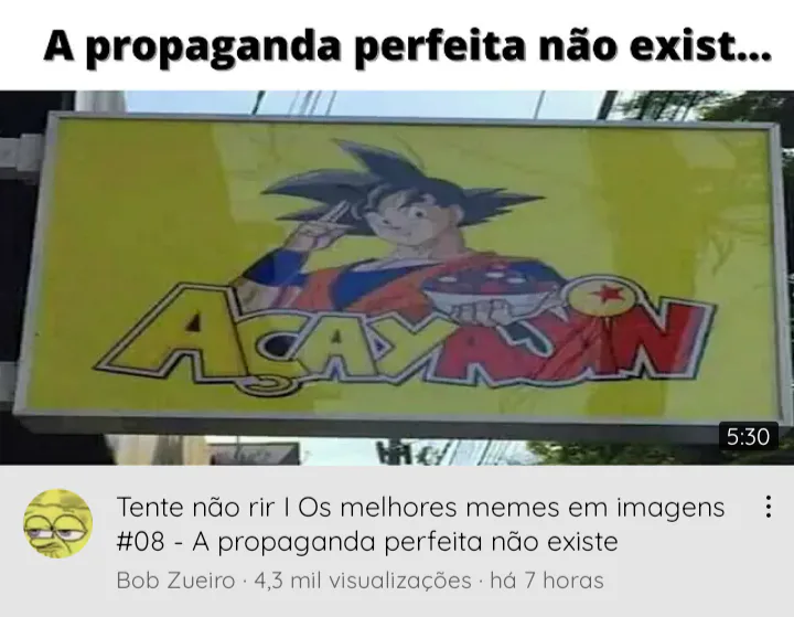 Memes em Imagens