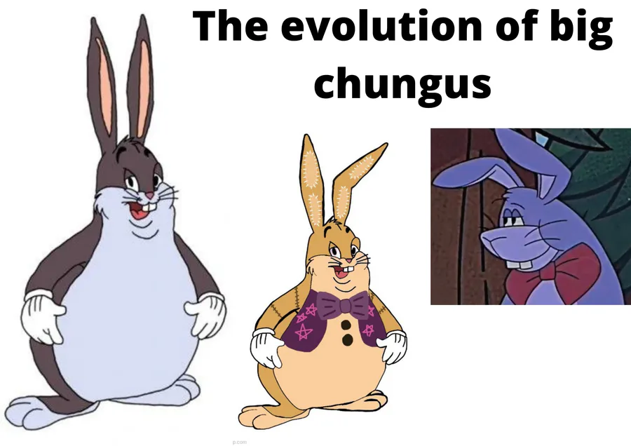 Línea evolutiva de BIG CHUNGUS - Meme by NightmareShoot :) Memedroid