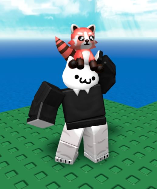 why is my roblox avatar not loading