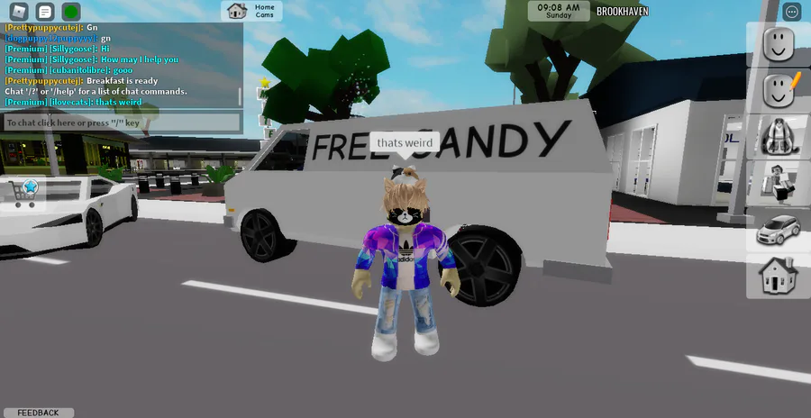 PREMIUM GRÁTIS NO BROOKHAVEN RP!!?(ROBLOX) 