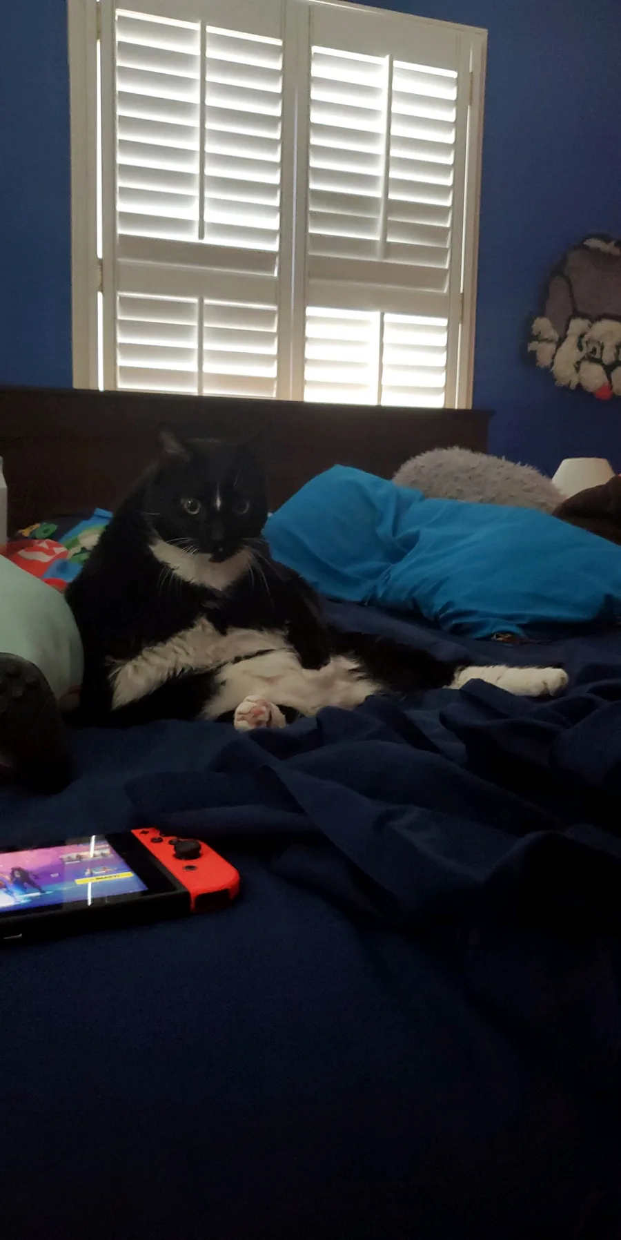 Game Jolt Share your creations