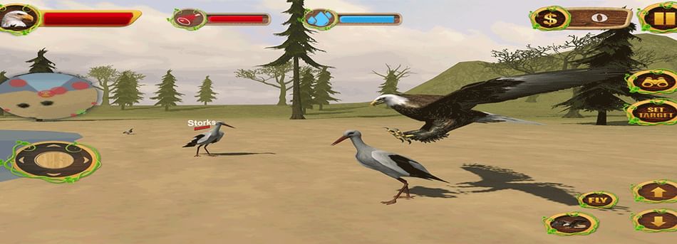 eagle simulator videos