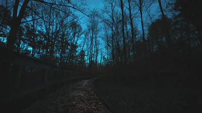 A Long Road Ahead.