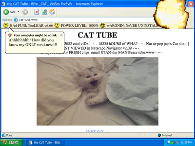 cat tube