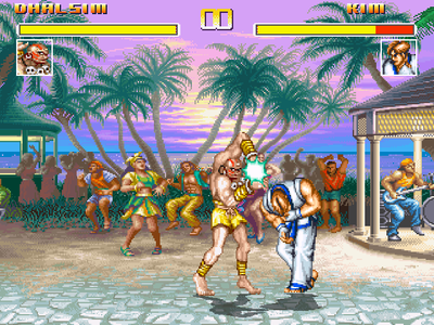 street fighter vs fatal fury icon