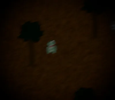 Froggy in the forest. / Фрогги в лесу.