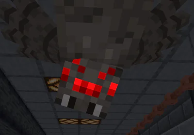 spider
