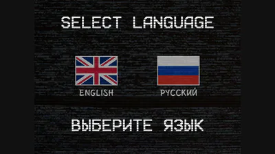 Language Selector (only 2 languages are available)