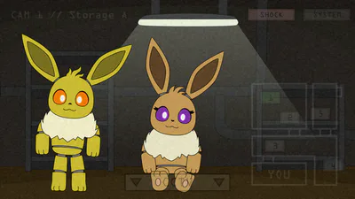 Camera Interface (Storage A)