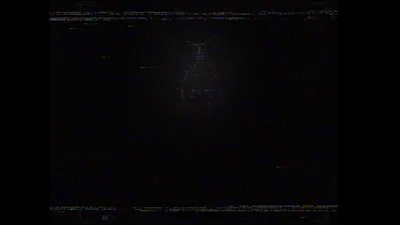 Endoskeleton