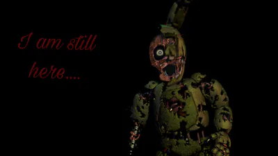 I am still here....