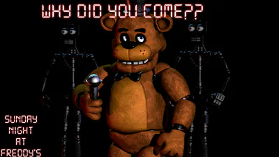 Why did you come??