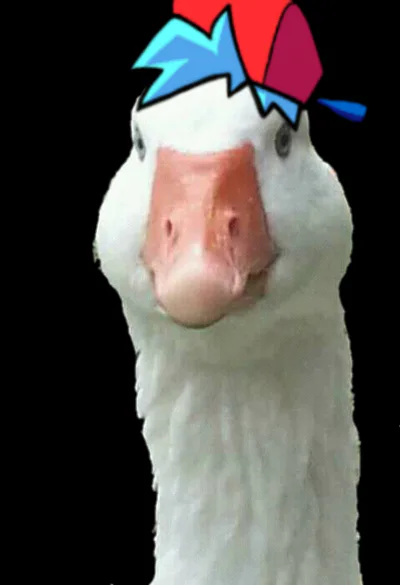 Goose BF