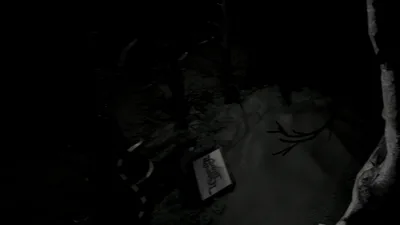 cam 2