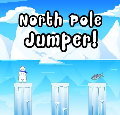 the north pole jumper