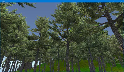 Nice forest, Eh?
