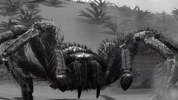 Reupload] Tarantula 1955 by ~Z~ - Game Jolt