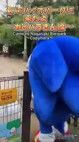 Sonic Meme Park