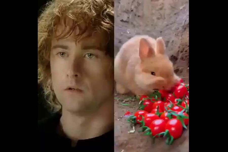 Game Jolt Share your creations