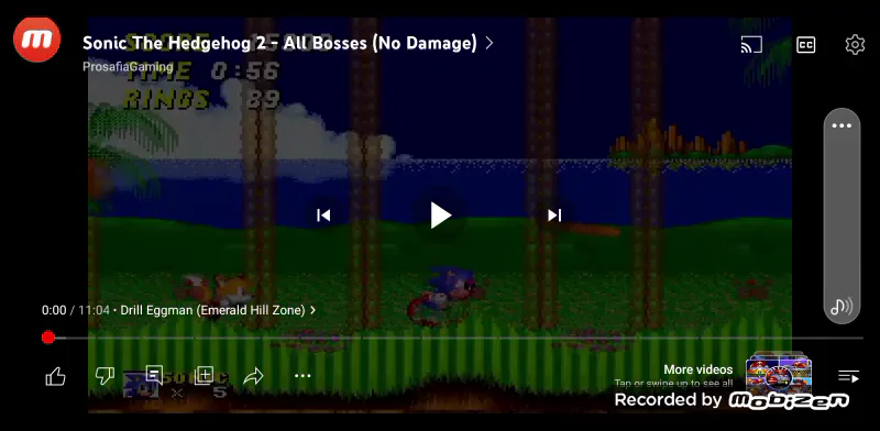 Sonic The Hedgehog 2, Software