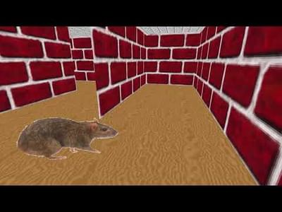 3d maze screensaver game