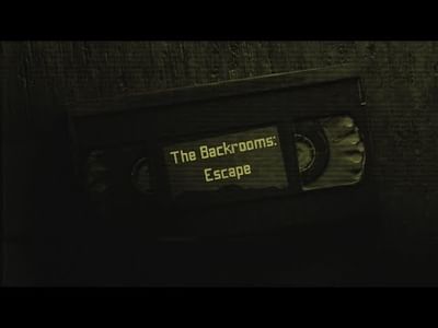 The Survivor: Backrooms by Fernandognc - Game Jolt